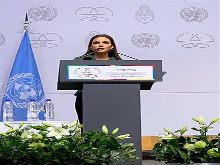 مصر تطالب المؤسسات الدولية بوضع الدول النامية على رأس أجندتها التنموية مصر تطالب المؤسسات الدولية بوضع الدول النامية على رأس أجندتها التنموية