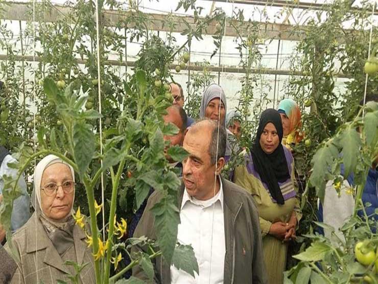 افتتاح معرض ومؤتمر "أجري بلازا" الزارعي الاثنين المقبل افتتاح معرض ومؤتمر "أجري بلازا" الزارعي الاثنين المقبل