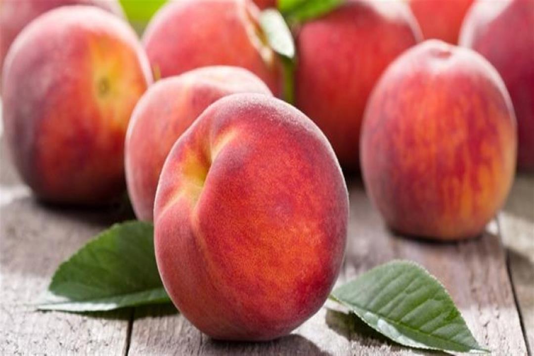 وزير الزراعة يتلقى تقريرا بموقف الخوخ قبل تصديره للخارج وزير الزراعة يتلقى تقريرا بموقف الخوخ قبل تصديره للخارج