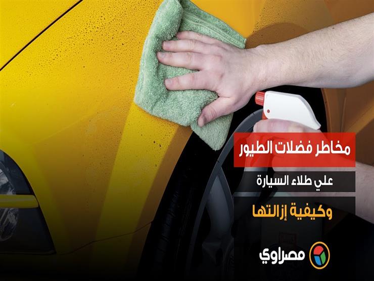 مخاطر فضلات الطيور علي طلاء السيارة وكيفية إزالتها مخاطر فضلات الطيور علي طلاء السيارة وكيفية إزالتها