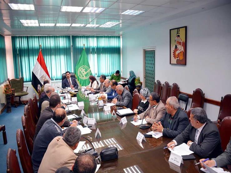 محافظ القليوبية: تكثيف حملات التوعية لمواجهة انتشار مرض إنفلونزا الطيور محافظ القليوبية: تكثيف حملات التوعية لمواجهة انتشار مرض إنفلونزا الطيور