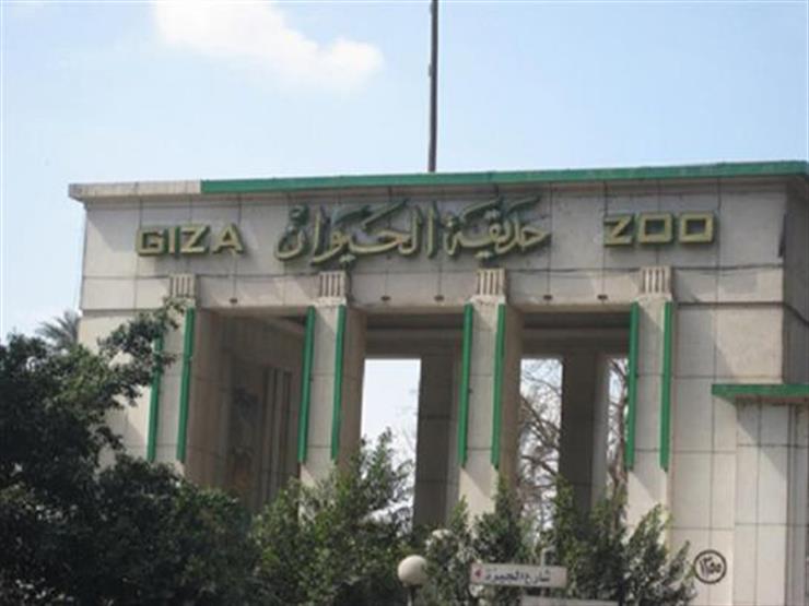 فتح حديقتى الحيوان والأورمان مجاناً للمواطنين أحتفالاً بالعيد القومى لمحافظة الجيزة فتح حديقتى الحيوان والأورمان مجاناً للمواطنين أحتفالاً بالعيد القومى لمحافظة الجيزة