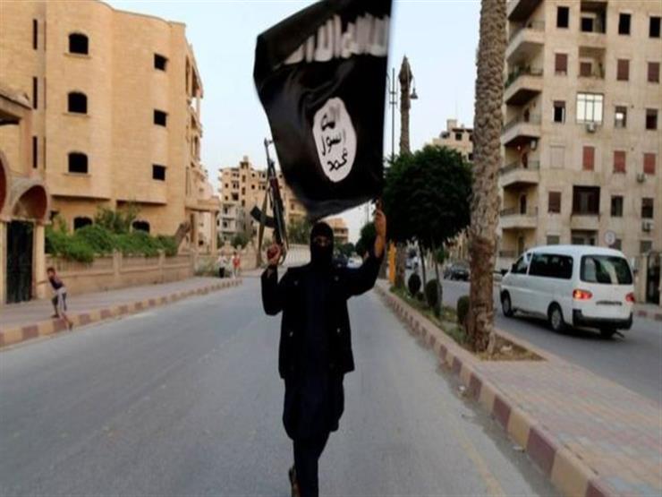 ما هي أوجه التشابه بين اليمين المتطرف وتنظيم الدولة الإسلامية؟ ما هي أوجه التشابه بين اليمين المتطرف وتنظيم الدولة الإسلامية؟