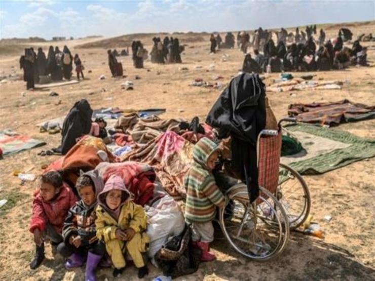 مبعوث أمريكا إلى سوريا: يجب إعادة عائلات الدواعش لبلادهم مبعوث أمريكا إلى سوريا: يجب إعادة عائلات الدواعش لبلادهم