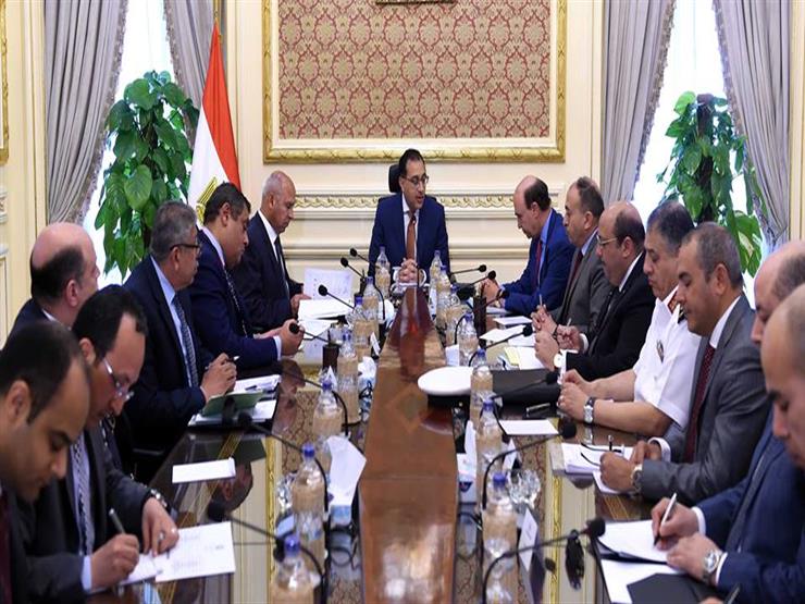 الحكومة تدرس إنشاء شركة وطنية للشحن والنقل البحري لربط مصر بأفريقيا الحكومة تدرس إنشاء شركة وطنية للشحن والنقل البحري لربط مصر بأفريقيا
