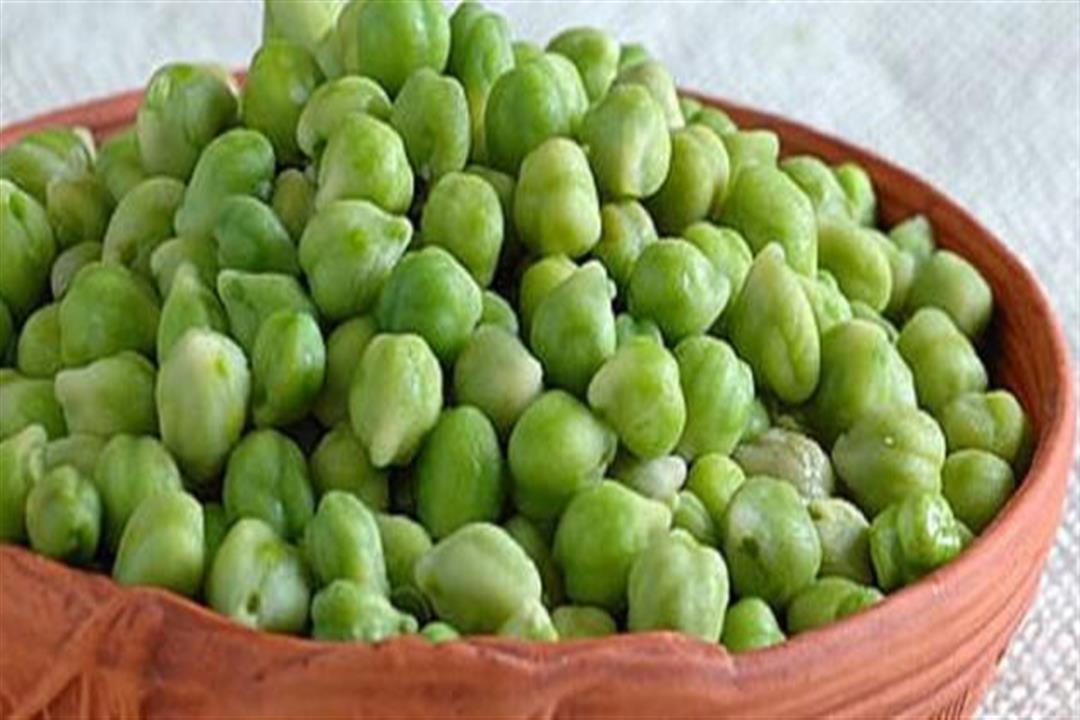 تناولوا "الملانة" في شم النسيم.. تدعم الجهاز الهضمي وتفيد العظام تناولوا "الملانة" في شم النسيم.. تدعم الجهاز الهضمي وتفيد العظام