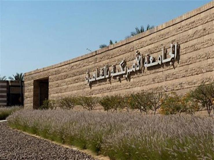 أكاديميون يطالبون بخطة للإعلام العلمي ويحذرون من نشر العلوم الزائفة أكاديميون يطالبون بخطة للإعلام العلمي ويحذرون من نشر العلوم الزائفة