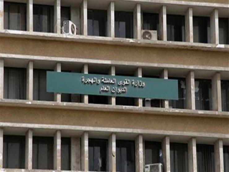 "القوى العاملة": توفير 200 ألف فرصة عمل داخل وخارج البلاد في 3 أشهر "القوى العاملة": توفير 200 ألف فرصة عمل داخل وخارج البلاد في 3 أشهر