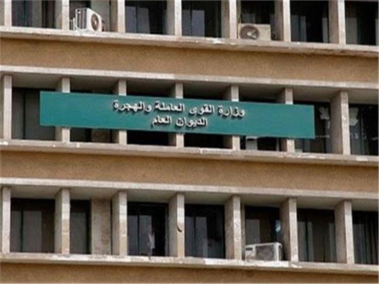 براتب يصل لـ 4700 جنيه.. القوى العاملة تقبل طلبات وظائف جديدة براتب يصل لـ 4700 جنيه.. القوى العاملة تقبل طلبات وظائف جديدة