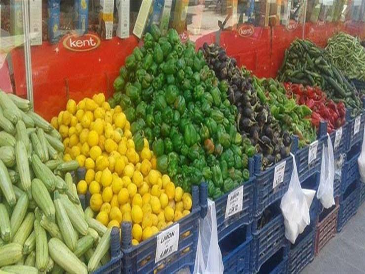 4 جنيهات لكيلو الطماطم.. أسعار الخضر والفاكهة في سوق الجملة اليوم 4 جنيهات لكيلو الطماطم.. أسعار الخضر والفاكهة في سوق الجملة اليوم