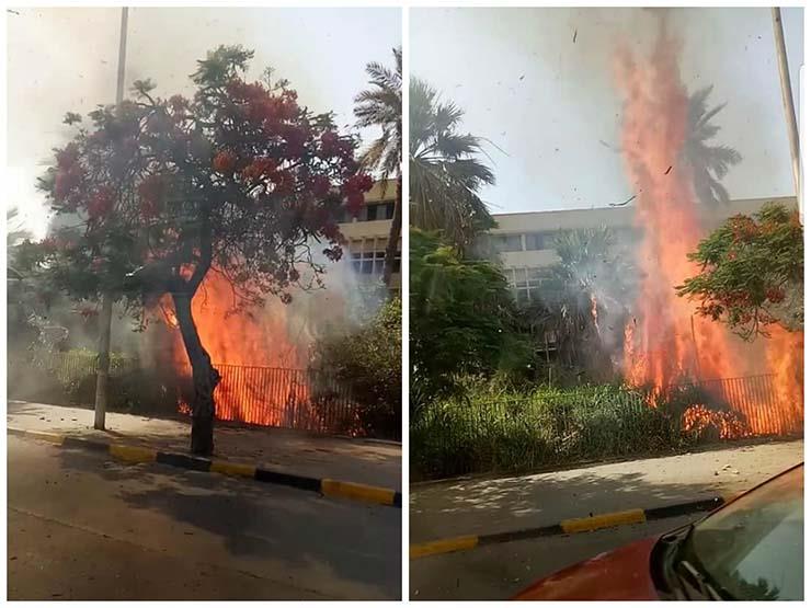 "النار وصلت للسماء".. كواليس حريق أثار الذعر في الطالبية (فيديو وصور) "النار وصلت للسماء".. كواليس حريق أثار الذعر في الطالبية (فيديو وصور)
