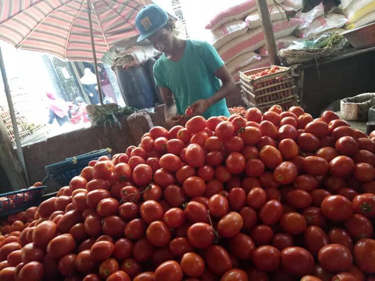 تراجع الطماطم.. أسعار الخضر والفاكهة في سوق العبور اليوم تراجع الطماطم.. أسعار الخضر والفاكهة في سوق العبور اليوم