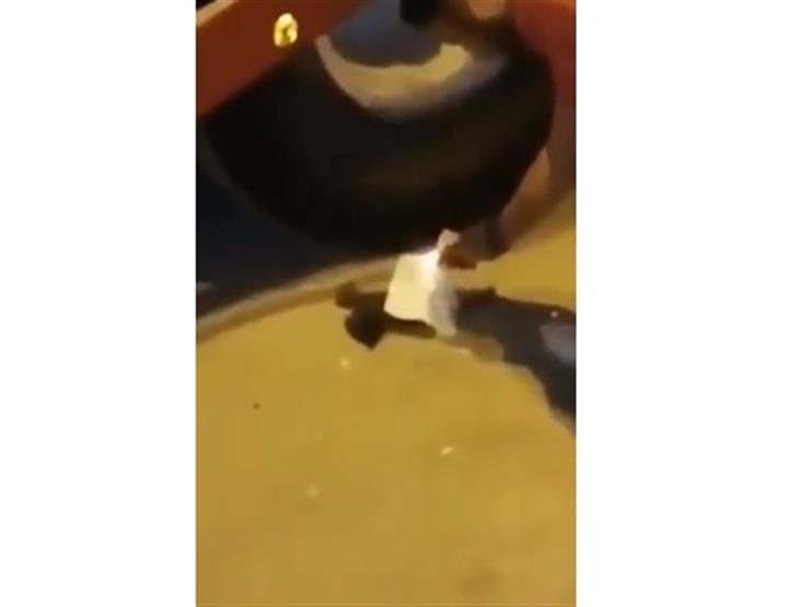 فيديو "تعذيب قطة وإشعال النار في جسدها" يثير غضب أهالي الغربية فيديو "تعذيب قطة وإشعال النار في جسدها" يثير غضب أهالي الغربية