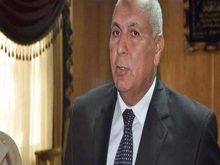 محافظ الوادي الجديد: المبادرة القومية للتشجير تكافح التصحر في المحافظة محافظ الوادي الجديد: المبادرة القومية للتشجير تكافح التصحر في المحافظة
