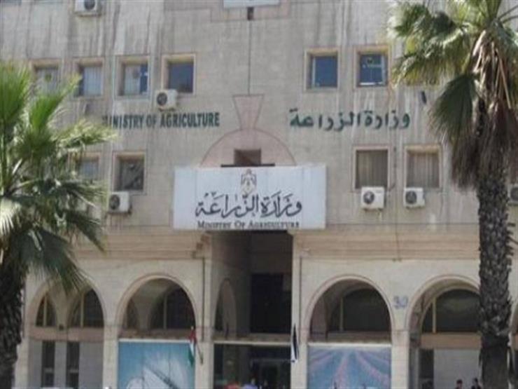 بعد الانفجار النووي بروسيا.. "الزراعة": لاتهاون في فحص المنتجات المستوردة بعد الانفجار النووي بروسيا.. "الزراعة": لاتهاون في فحص المنتجات المستوردة