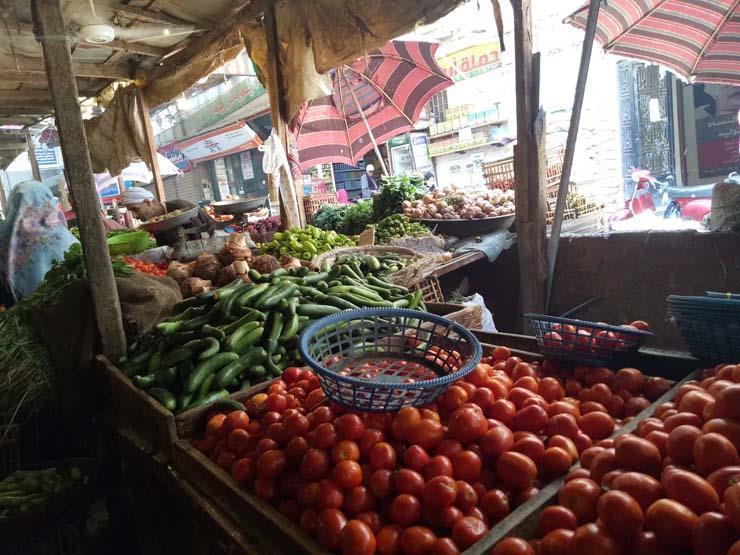 ارتفاع البصل والفاصوليا.. أسعار الخضر والفاكهة في سوق العبور اليوم ارتفاع البصل والفاصوليا.. أسعار الخضر والفاكهة في سوق العبور اليوم