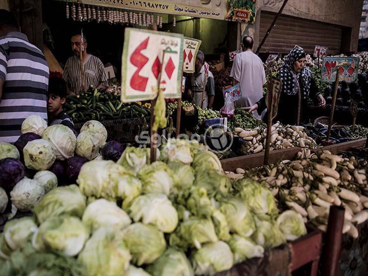 تراجع الطماطم والبصل.. أسعار الخضر والفاكهة في سوق العبور اليوم تراجع الطماطم والبصل.. أسعار الخضر والفاكهة في سوق العبور اليوم