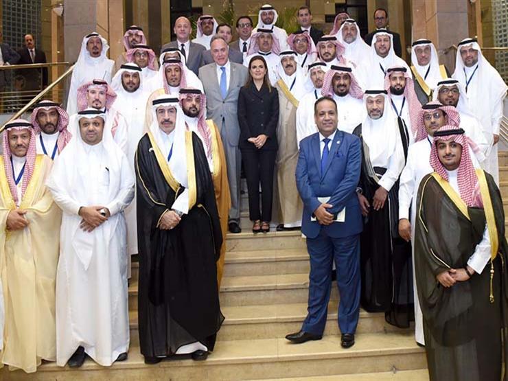 الحكومة تعرض فرص الاستثمار في مصر على وفد سعودي الحكومة تعرض فرص الاستثمار في مصر على وفد سعودي