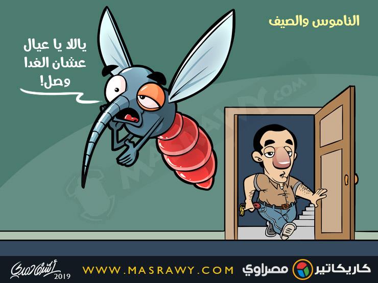 الناموس والصيف الناموس والصيف