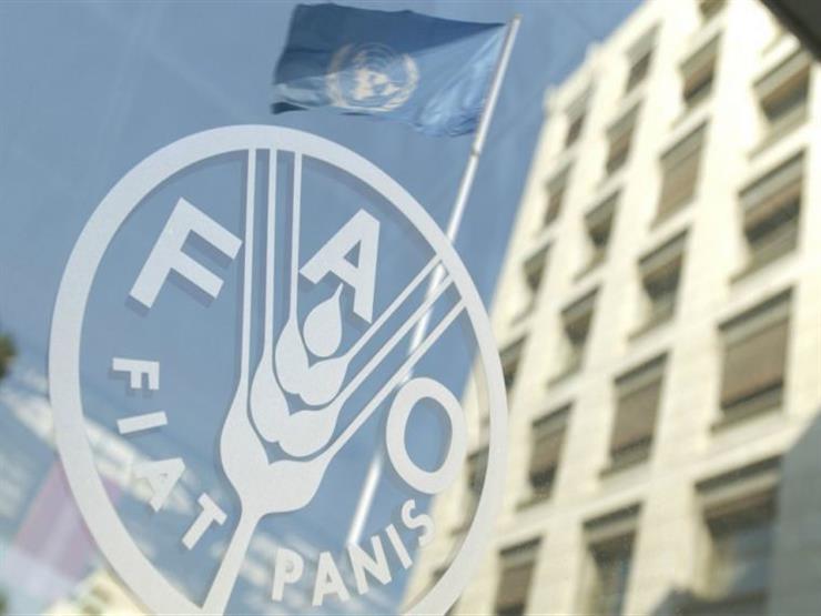 "الفاو" تنظم ورشة عمل حول حوكمة الهجرة عبر التواصل الريفي الحضري "الفاو" تنظم ورشة عمل حول حوكمة الهجرة عبر التواصل الريفي الحضري