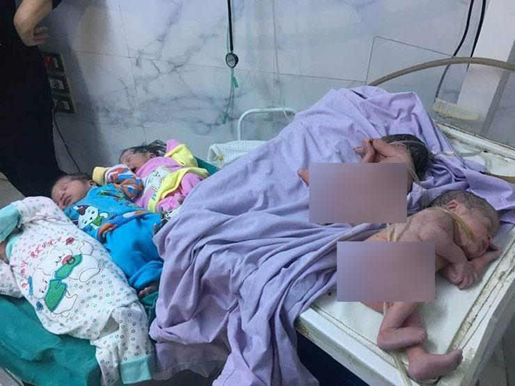 بعد تأخرها في الإنجاب 7 سنوات.. سيدة تضع 5 توائم بالمحلة - صورة بعد تأخرها في الإنجاب 7 سنوات.. سيدة تضع 5 توائم بالمحلة - صورة