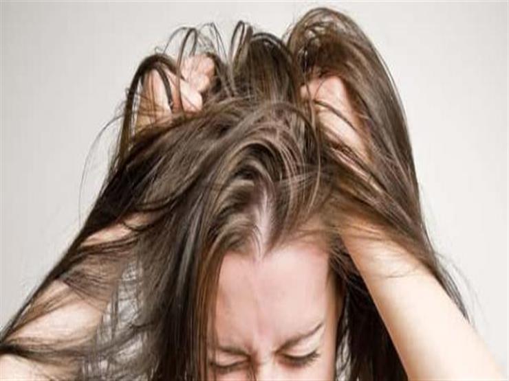 ما أسباب حكة فروة الرأس؟.. هذه طرق علاجها ما أسباب حكة فروة الرأس؟.. هذه طرق علاجها