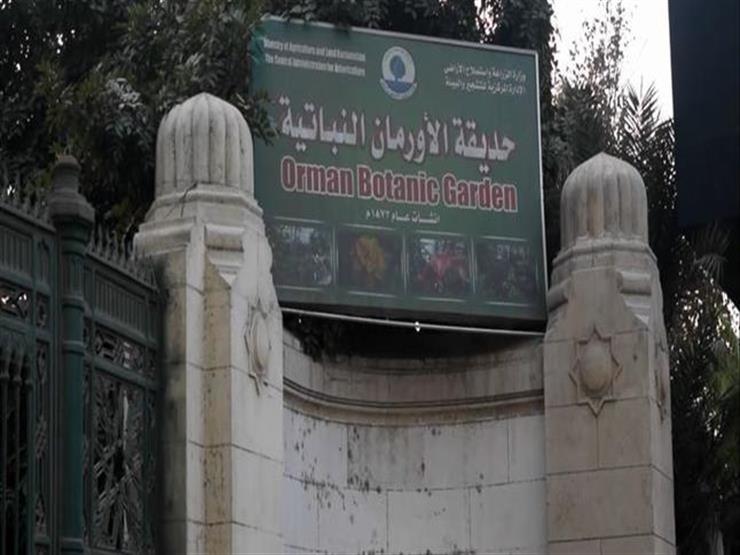 "2 جنيه للمصريين و10 للأجانب".. "الأرومان" تفتح أبوابها غدًا "2 جنيه للمصريين و10 للأجانب".. "الأرومان" تفتح أبوابها غدًا