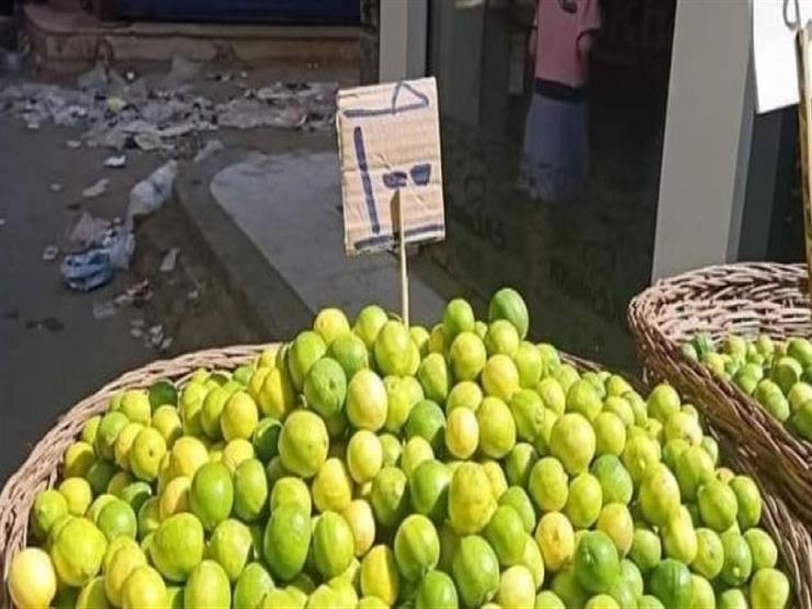 "ولاد الذوات السبب".. أمين عام الفلاحين يكشف أسباب ارتفاع أسعار الليمون "ولاد الذوات السبب".. أمين عام الفلاحين يكشف أسباب ارتفاع أسعار الليمون