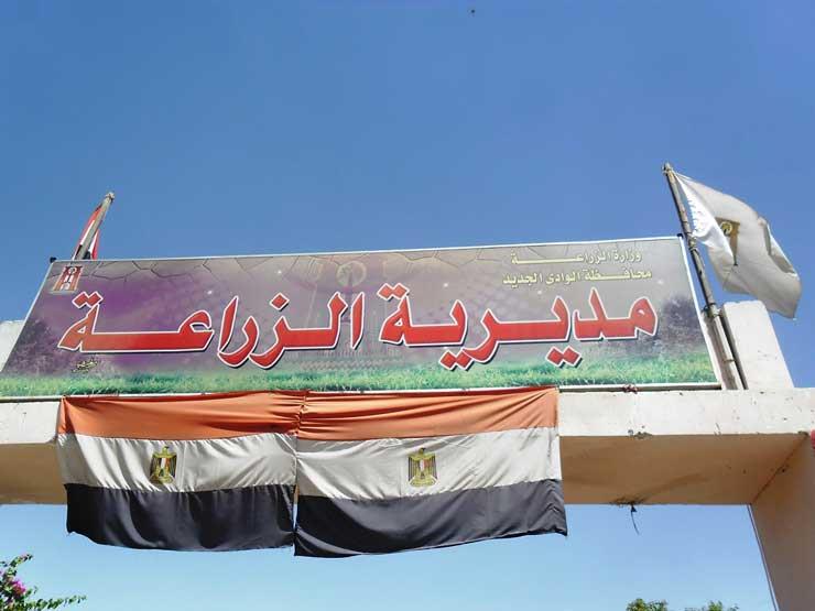 زراعة الوادي الجديد: إزالة 103 مخالفات بناء على الأراضي الزراعية زراعة الوادي الجديد: إزالة 103 مخالفات بناء على الأراضي الزراعية