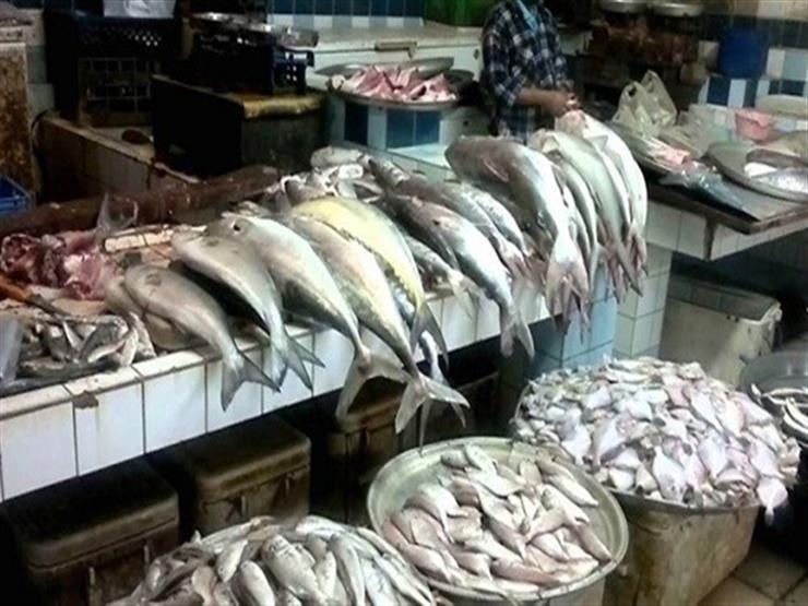 انخفاض البوري.. أسعار السمك بسوق العبور في أسبوع انخفاض البوري.. أسعار السمك بسوق العبور في أسبوع