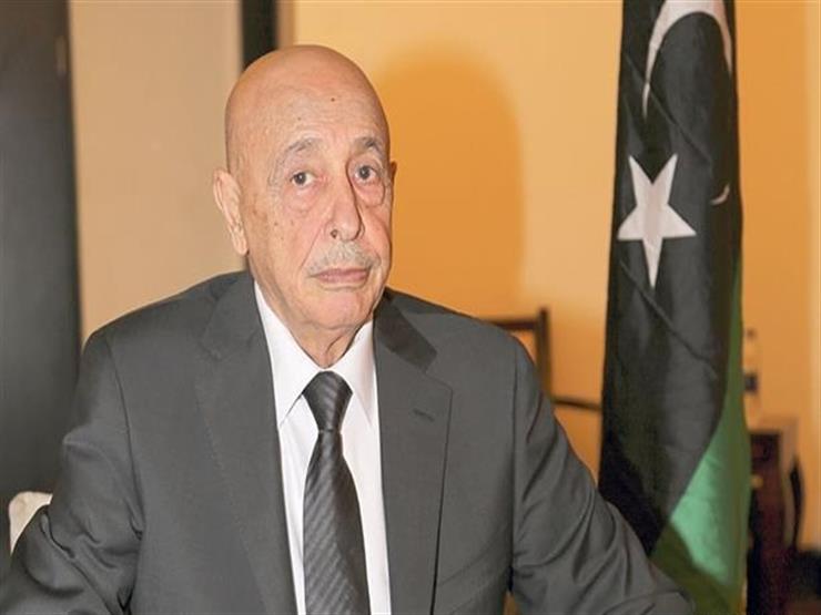 وصول وفد من مجلس النواب الليبي إلى القاهرة لبحث حل الأزمة الليبية وصول وفد من مجلس النواب الليبي إلى القاهرة لبحث حل الأزمة الليبية