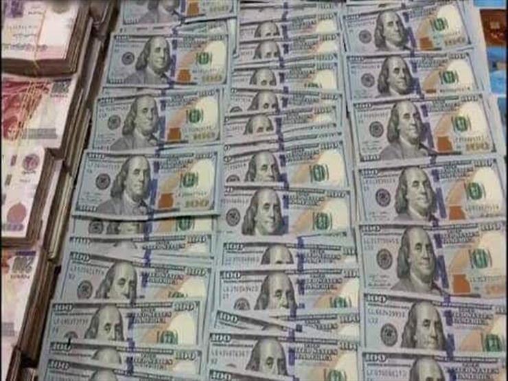 "الأموال العامة": ضبط 55 قضية بقيمة 200 مليون جنيه خلال شهر "الأموال العامة": ضبط 55 قضية بقيمة 200 مليون جنيه خلال شهر