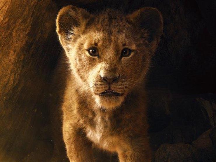 الأربعاء.. بدء عرض "The Lion king" في أمريكانا بلازا الأربعاء.. بدء عرض "The Lion king" في أمريكانا بلازا