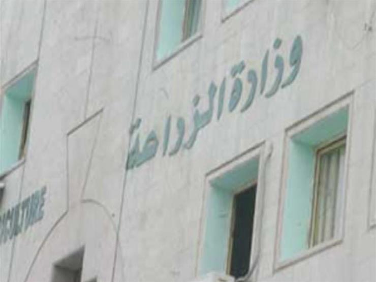 بدء قبول طلبات التقدم لشغل وظيفة مدير الإصلاح الزراعي بدء قبول طلبات التقدم لشغل وظيفة مدير الإصلاح الزراعي