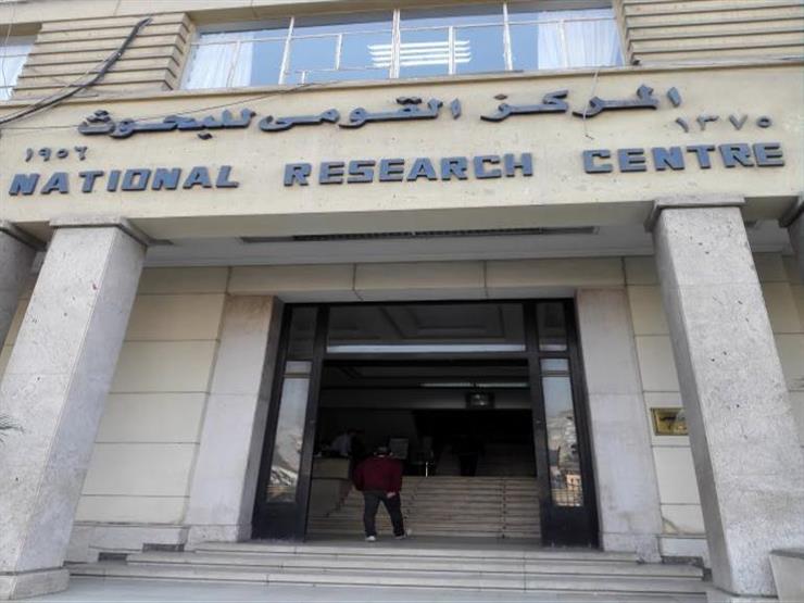 اليوم.. "القومي للبحوث الاجتماعية" ينظم ندوة حول الطلاق المبكر اليوم.. "القومي للبحوث الاجتماعية" ينظم ندوة حول الطلاق المبكر