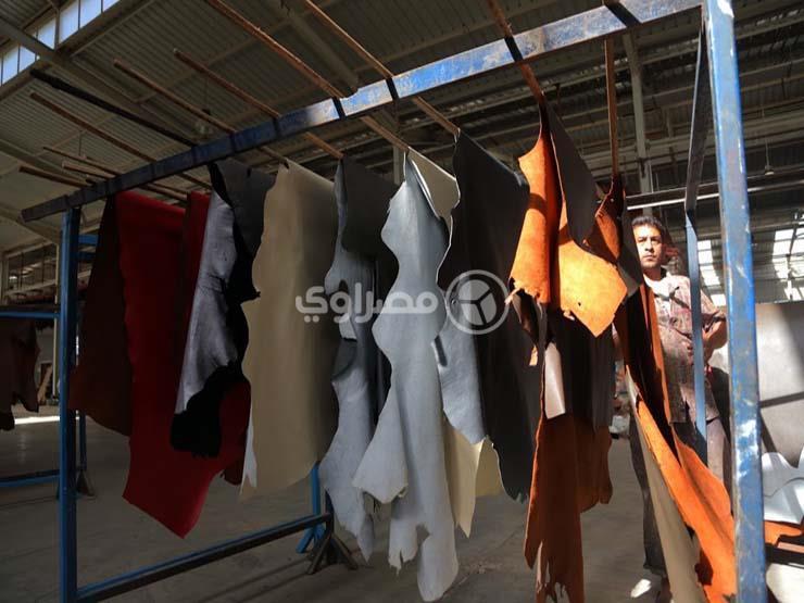 أسعار الجلود تتراجع 100 جنيه مع اقتراب عيد الأضحي أسعار الجلود تتراجع 100 جنيه مع اقتراب عيد الأضحي