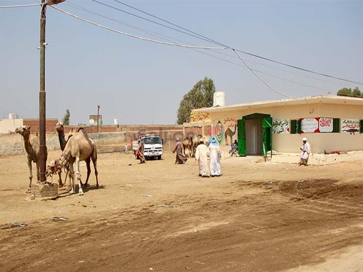 بعد صور الجمال الدامية.. كيف حال سوق برقاش؟ بعد صور الجمال الدامية.. كيف حال سوق برقاش؟