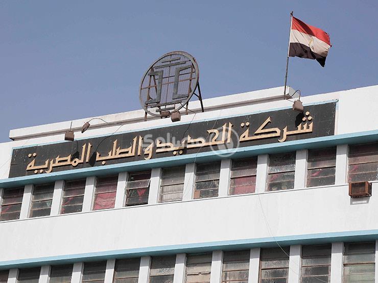 الحديد والصلب تعيد تشكيل مجلس الإدارة لمدة 3 سنوات الحديد والصلب تعيد تشكيل مجلس الإدارة لمدة 3 سنوات
