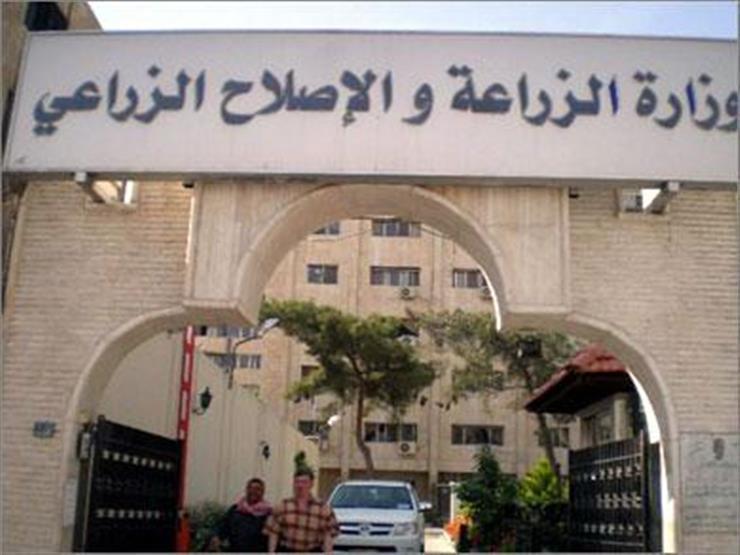 لأول مرة في تاريخ الهيئة.. الزراعة: الإصلاح الزراعي تحقق فائضًا 18 مليون لأول مرة في تاريخ الهيئة.. الزراعة: الإصلاح الزراعي تحقق فائضًا 18 مليون