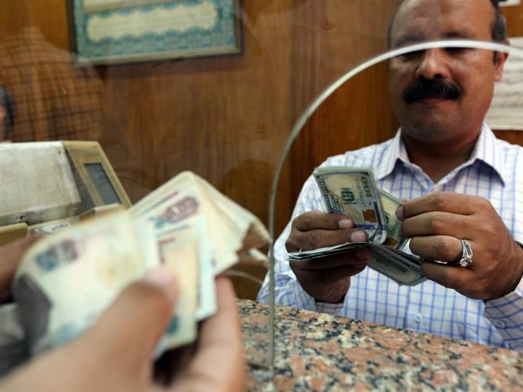 بعد تراجع سعره أمام الجنيه.. زيادة كبيرة في معروض الدولار بالصرافات بعد تراجع سعره أمام الجنيه.. زيادة كبيرة في معروض الدولار بالصرافات