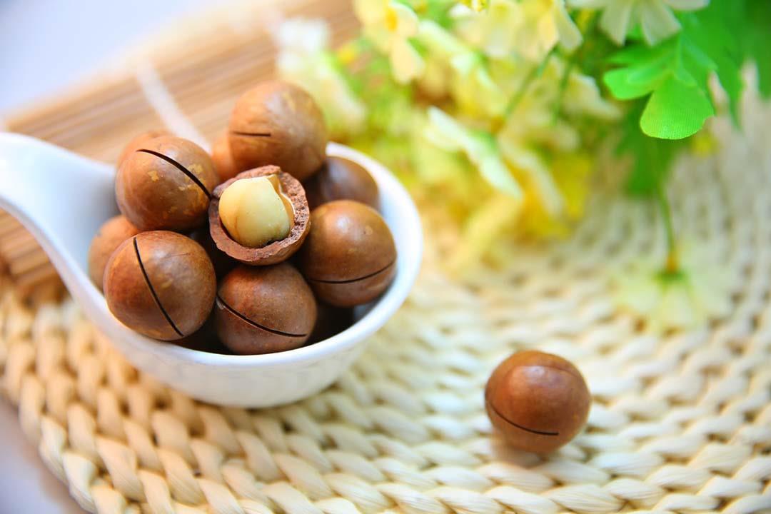 علاج للسكري والسرطان.. 6 فوائد صحية لمكسرات المكاديميا علاج للسكري والسرطان.. 6 فوائد صحية لمكسرات المكاديميا