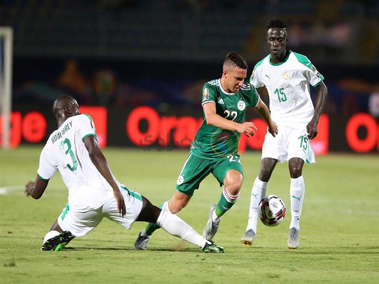أفضل لاعب وحارس تذهب إلى الجزائر بعد حسم لقب أمم أفريقيا 2019 أفضل لاعب وحارس تذهب إلى الجزائر بعد حسم لقب أمم أفريقيا 2019