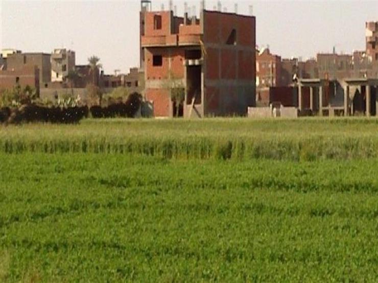خاص.. ننشر المستندات المطلوبة لتحويل الأراضي الزراعية بالقاهرة لمبانِ خاص.. ننشر المستندات المطلوبة لتحويل الأراضي الزراعية بالقاهرة لمبانِ