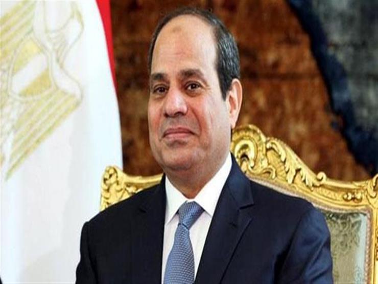 السيسي يلتقي رئيس وزراء تنزانيا السيسي يلتقي رئيس وزراء تنزانيا