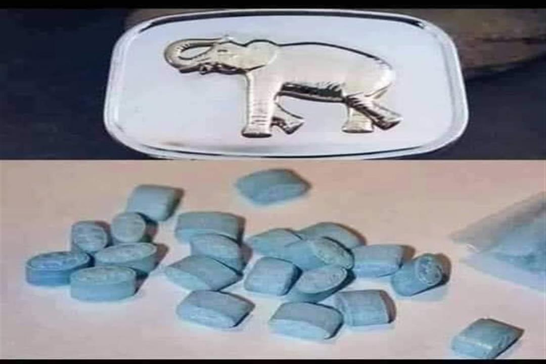 "هلاوس ورؤية كائنات غريبة".. ماذا يحدث عند تعاطي "الفيل الأزرق"؟ "هلاوس ورؤية كائنات غريبة".. ماذا يحدث عند تعاطي "الفيل الأزرق"؟