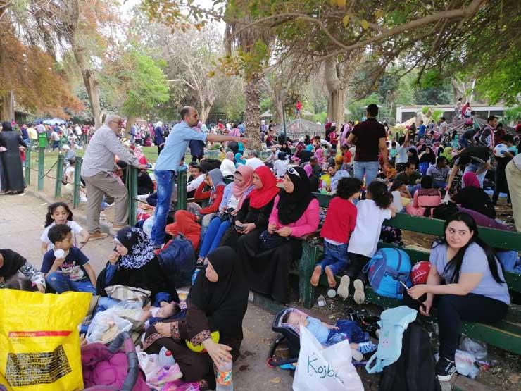 مدير حديقة الحيوان: استقبال 10 آلاف زائر حتى الآن مدير حديقة الحيوان: استقبال 10 آلاف زائر حتى الآن