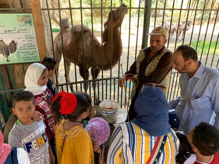 توافد المواطنين على حديقة الحيوان في ثالث أيام العيد توافد المواطنين على حديقة الحيوان في ثالث أيام العيد