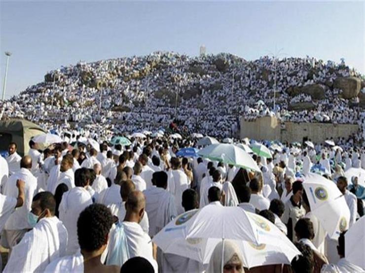 وزراء ورؤساء مكاتب شؤون الحجاج العرب يشيدون بالموسم الحالي وزراء ورؤساء مكاتب شؤون الحجاج العرب يشيدون بالموسم الحالي