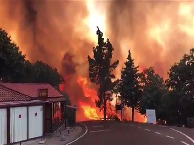 إجلاء ألفي شخص إثر اندلاع حريق غابات بجزيرة جران كناريا الأسبانية إجلاء ألفي شخص إثر اندلاع حريق غابات بجزيرة جران كناريا الأسبانية