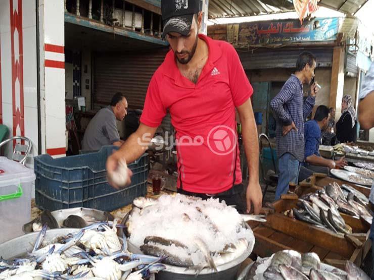 لماذا انخفضت أسعار السمك البوري والبلطي بعد عيد الأضحي؟ لماذا انخفضت أسعار السمك البوري والبلطي بعد عيد الأضحي؟